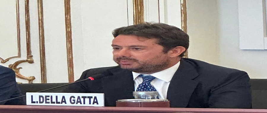 della gatta