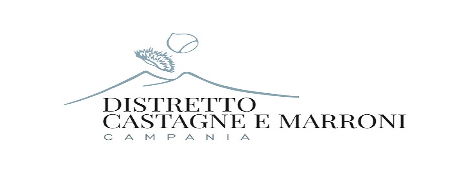 logo distretto castagne e marroni