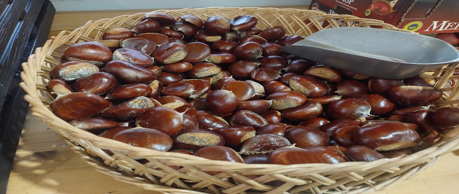 Le castagne