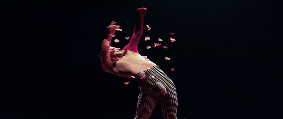 Sa Rose di Nyko Piscopo - ph.Peter Coch.
