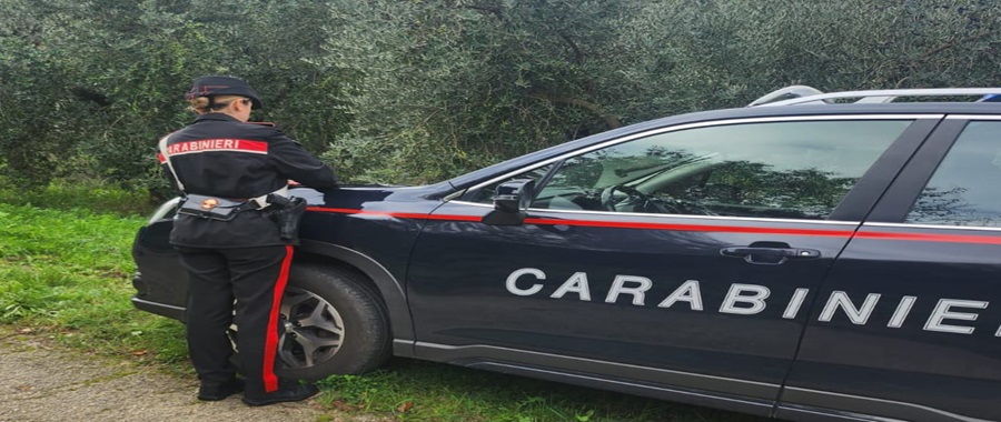 carabinieri roccab 900