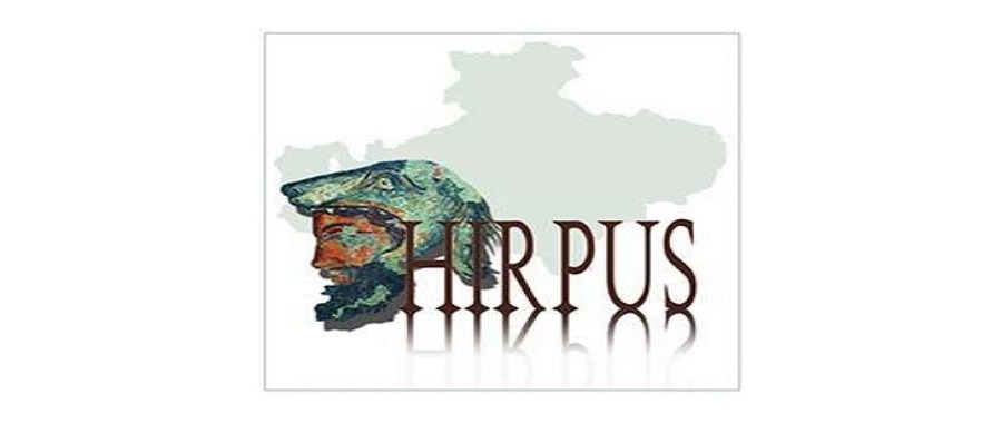 Logo Hirpus 2