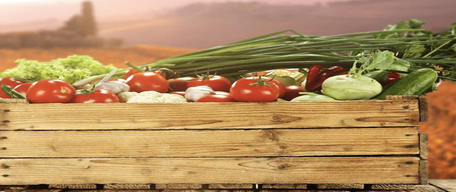 Agricoltura