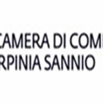 camera di commercio irpinia sannio