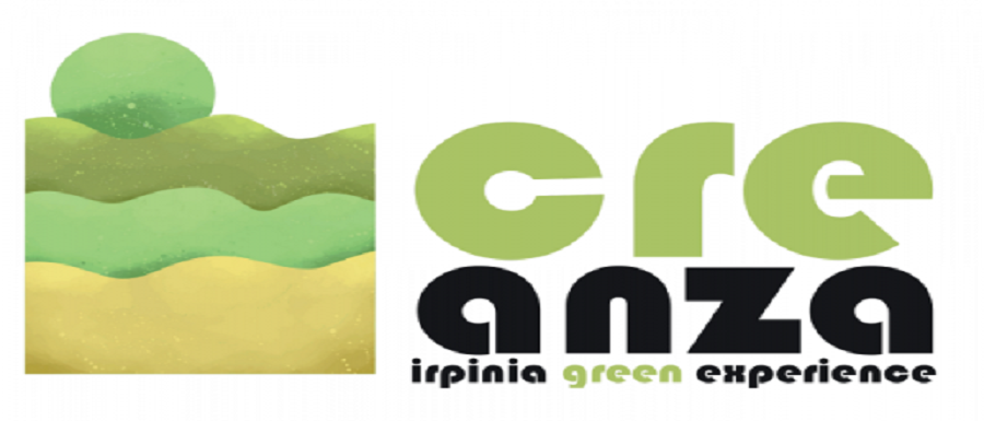 logo (8)