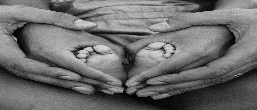 pexels-alexandro-david-871783-1912359
