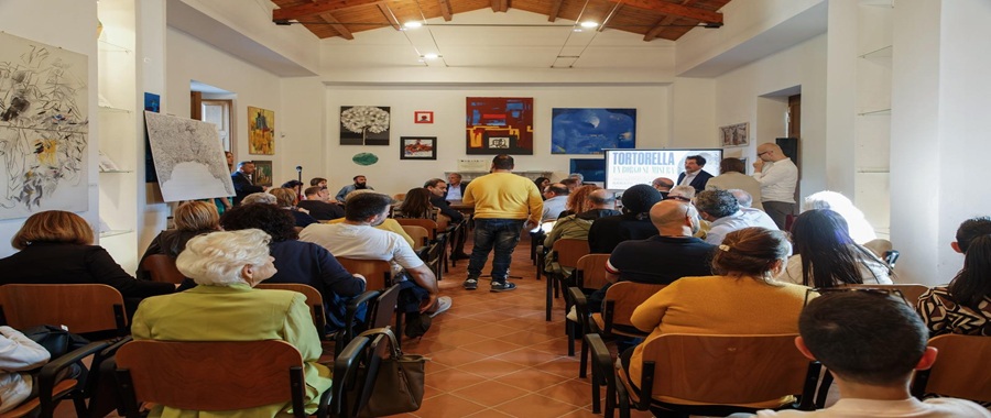 81112898-129e-4ead-9d30-a0c74c9ca722