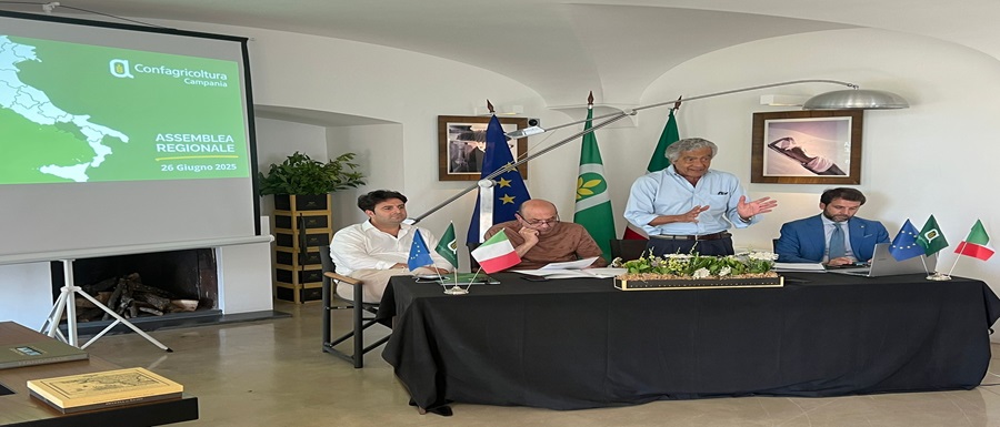 Assemblea