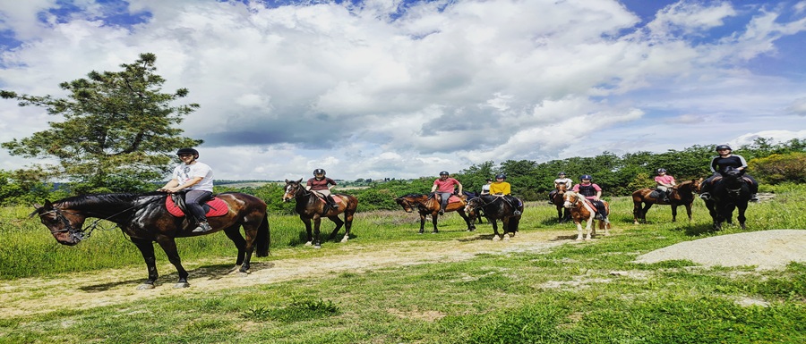 Emozioni a cavallo nella natura a Sinalunga in provincia di Siena