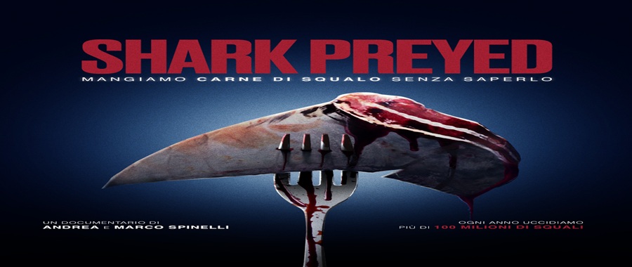 FACE - Foto Shark Preyed 3
