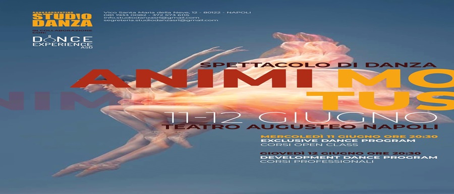 Locandina Animi Motus