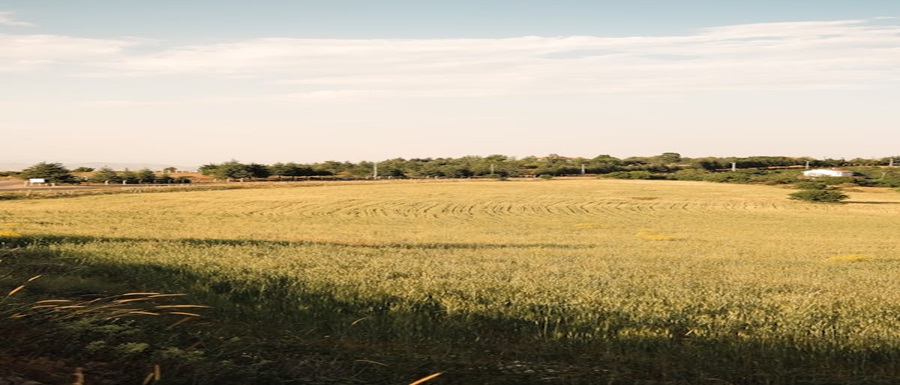 free-photo-of-campo-di-campagna-panoramico-con-cielo-limpido