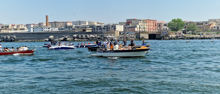 processione 5
