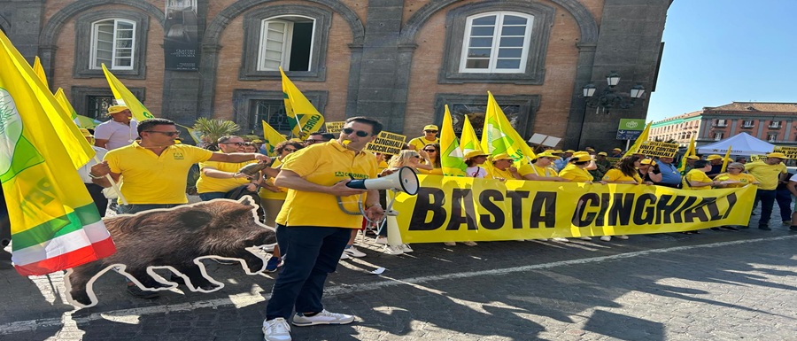 Cinghiali Regione Campania mobilitazione (7)