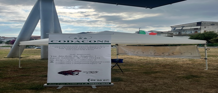 Foto stand al GFF