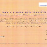 Immagine 2025-07-29 155354