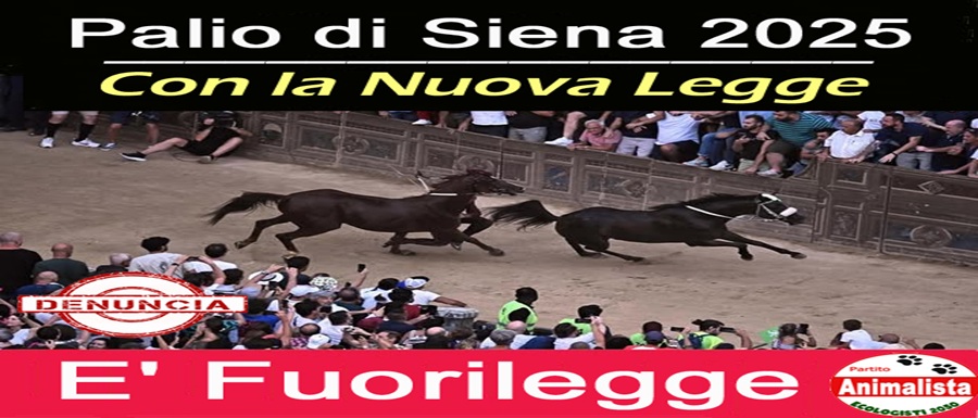 Logo_CS_Palio_Siena_2025_Denuncia