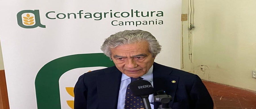Presidente Marzano