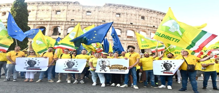 Roma - Colosseo (6)