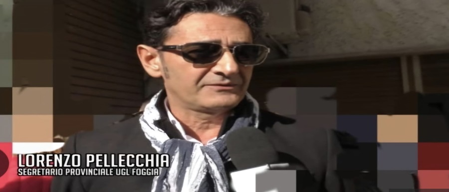 pellecchia