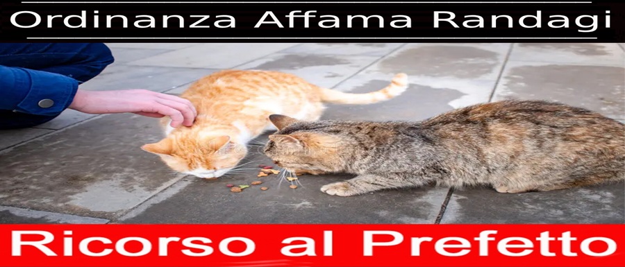 CS_Ricorso_Ordinanza_Affama_Randagi