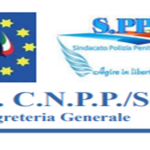 Immagine 2025-08-14 163306