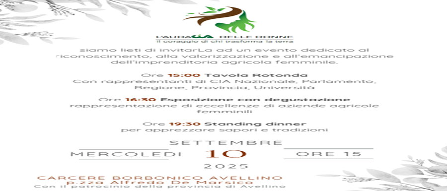 Immagine 2025-08-26 104721