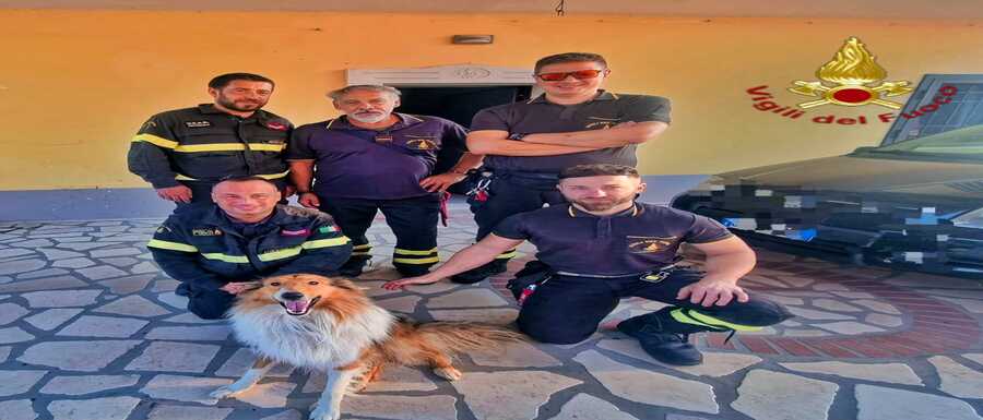 WhatsApp Image 2025-08-18 at 16.53.20-2