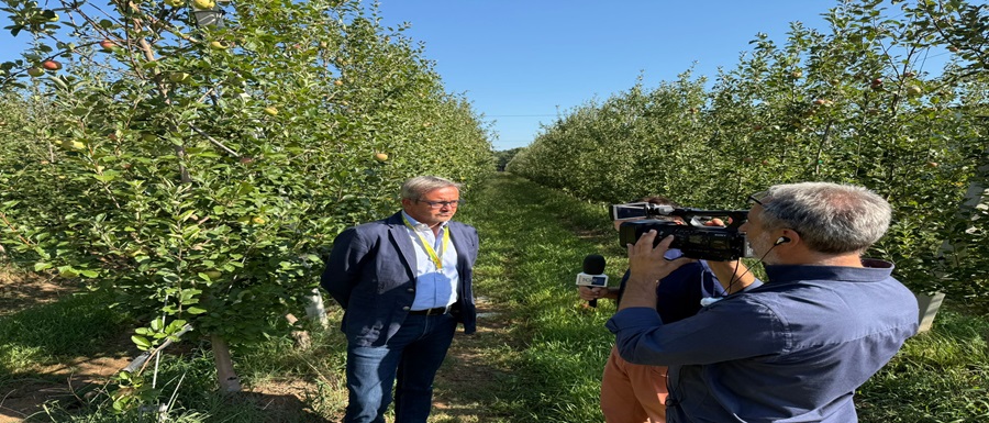 b Rogo di Teano al Tg3 Campania (1)