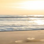 pexels-kostas-dimopoulos-119583302-33245120