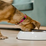 pexels-mart-production-8434676