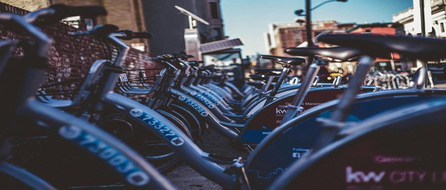 pexels-thatguycraig000-1503538