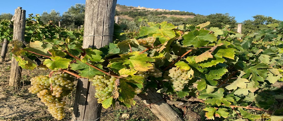 Cairano 2