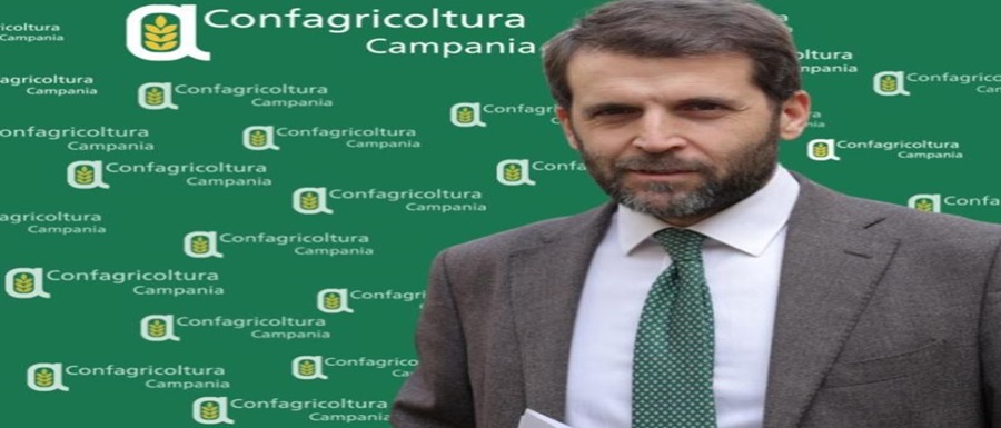 Paolo-Conte_direttore_Campania