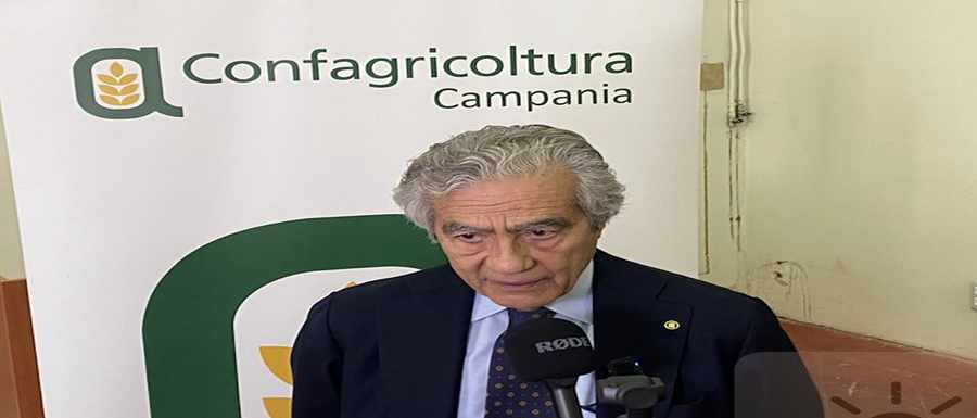 Presidente Marzano