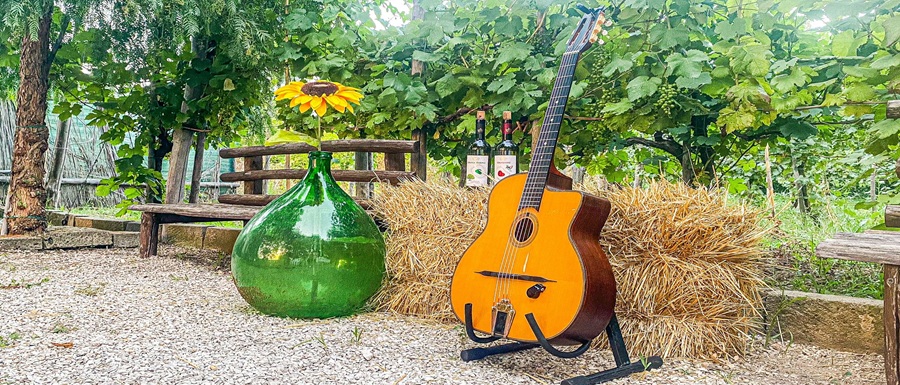 jazz vigna2