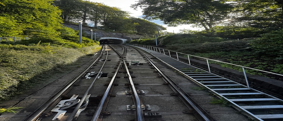 pexels-bernhard-egger-2155372194-33692809