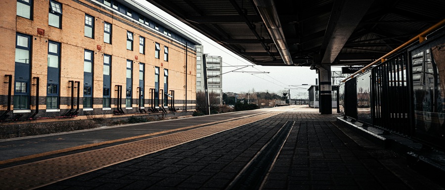 pexels-eliezer-34038509