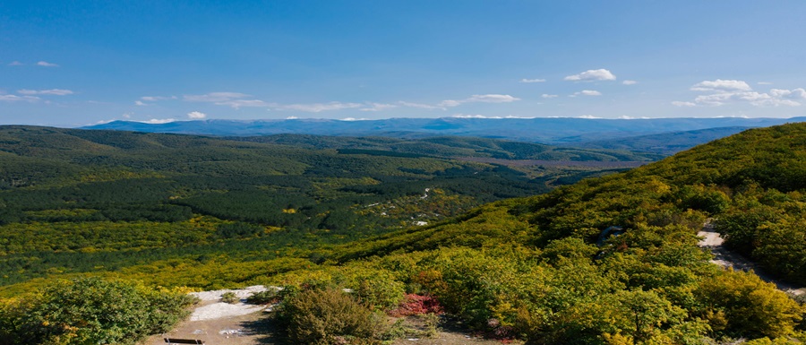 pexels-mikhail-nilov-8414106