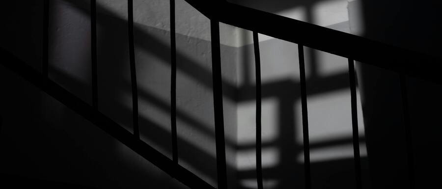 pexels-plato-terentev-3804555-9963106-2