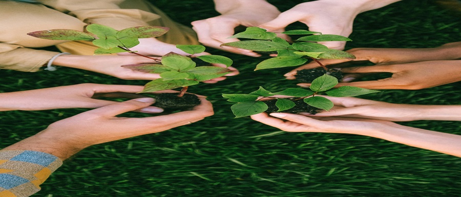 pexels-shvetsa-5029853