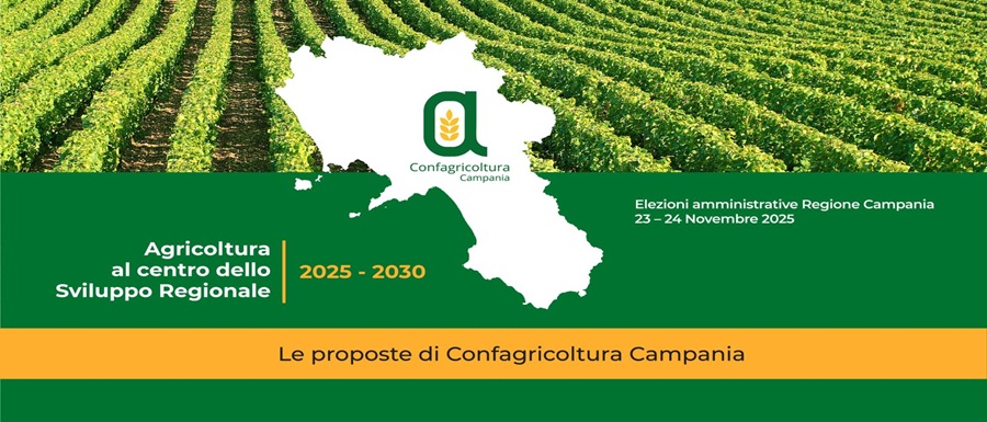 Copertina-Agricoltura-al-Centro-2025-2030_Le-proposte-di-Confagricoltura-Campania_Tavola-disegno-1