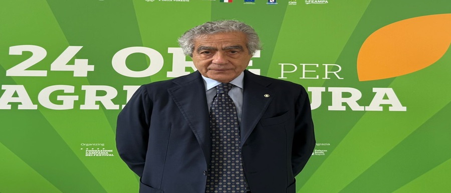 Presidente Marzano