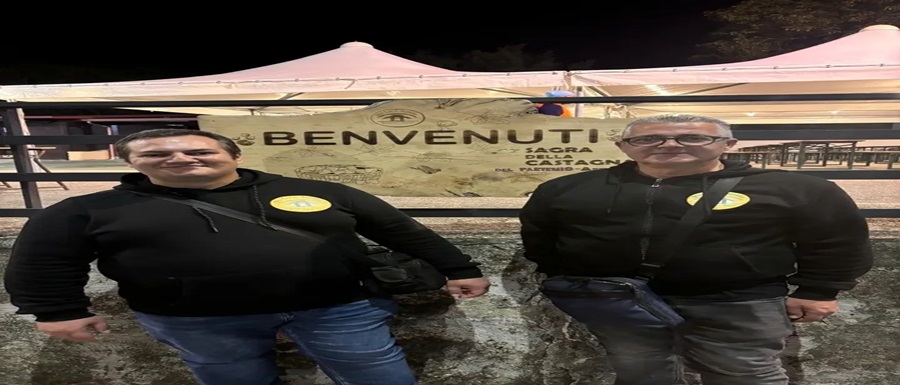 img_10_1760436229730