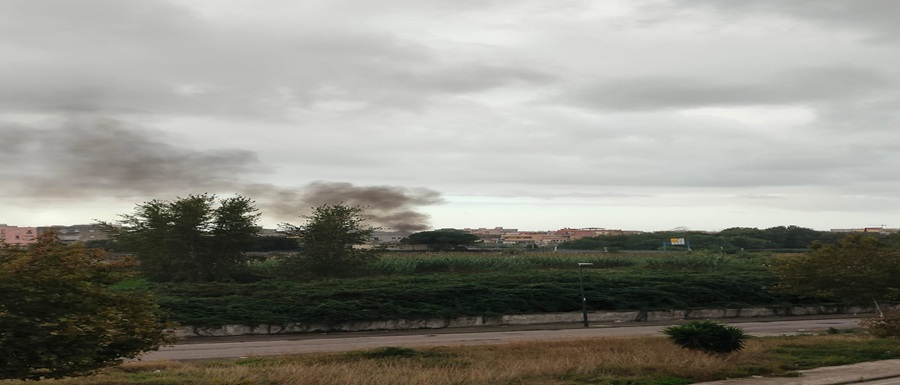 rogo Barra