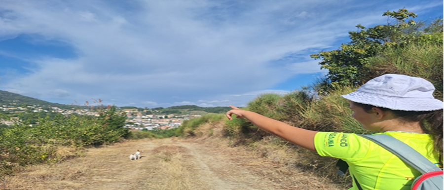 trekking