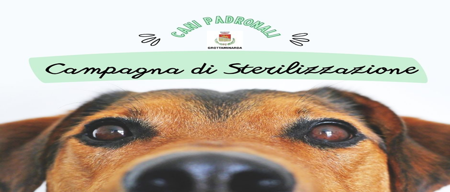 6391f984-4717-40dc-a8d7-c5e06eba5149