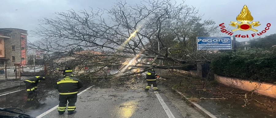 WhatsApp Image 2025-11-26 at 09.21.32