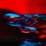 pexels-gochrisgoxyz-2823919