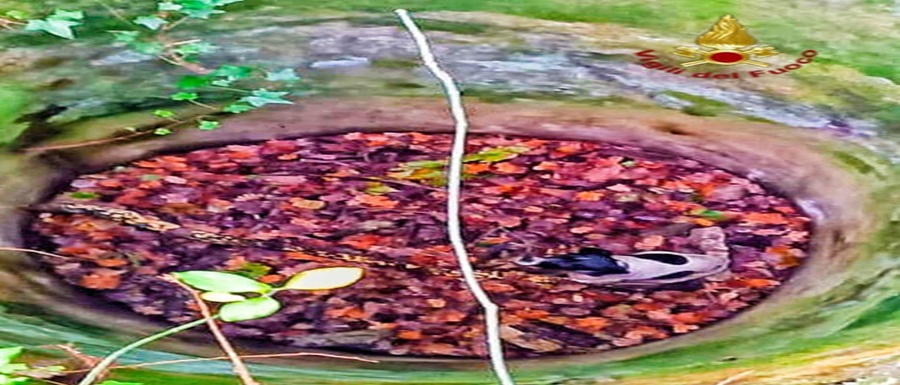 Immagine WhatsApp 2025-12-06 ore 12.59.11_4a29050c